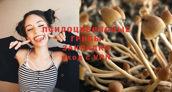 гидра Абдулино