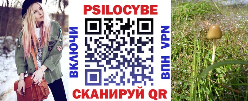 как найти закладки  Сычёвка  площадка как зайти  Галлюциногенные грибы Magic Shrooms 